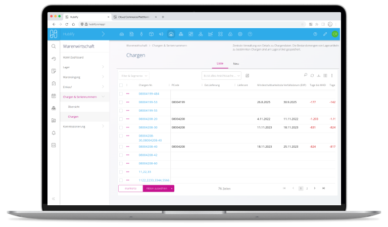 Demo Hublify Warehouse Chargen MHD 768 Device
